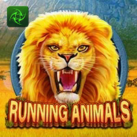 RUNNING ANIMALS