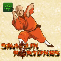 SHAOLIN FORTUNES